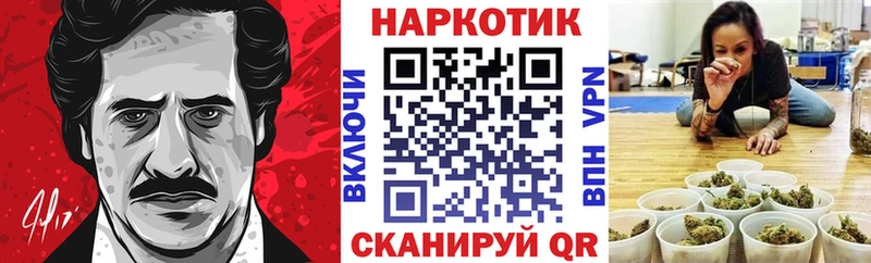 Где купить Райчихинск COCAIN ГАШИШ СК МАРИХУАНА