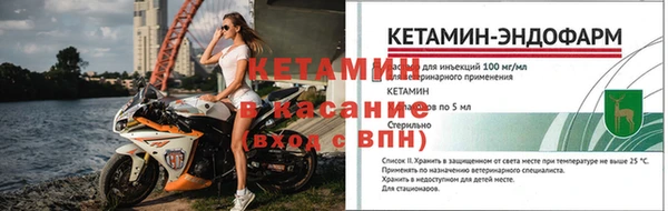 СК Пересвет