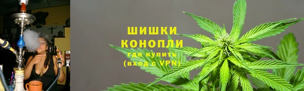 СК Пересвет