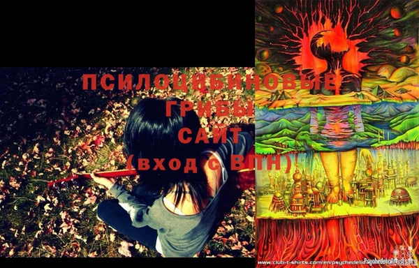 скорость Пестово