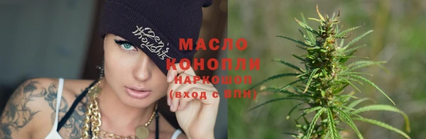 СК Пересвет