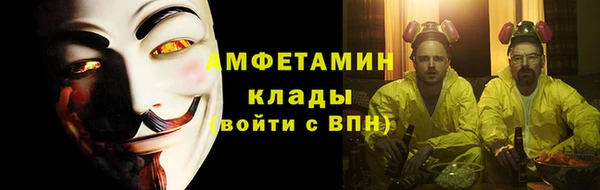 СК Пересвет