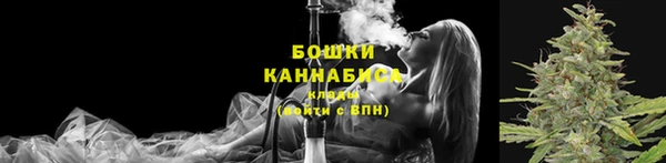 СК Пересвет