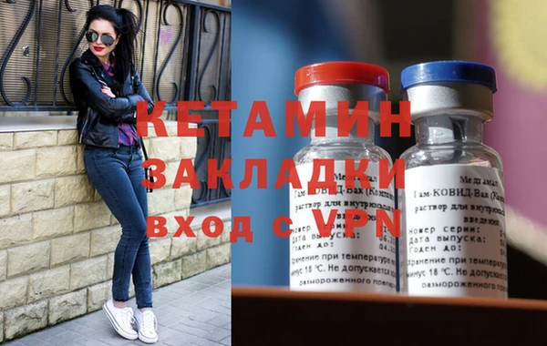 СК Пересвет
