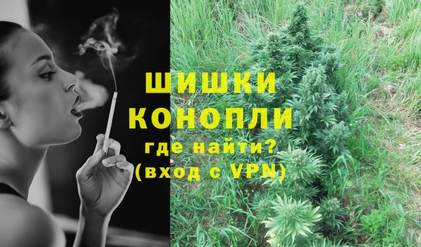 СК Пересвет