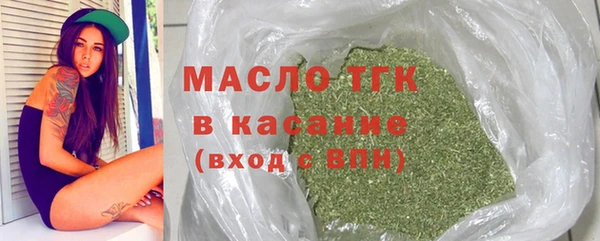 СК Пересвет