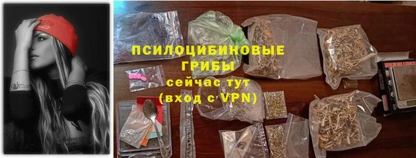СК Пересвет