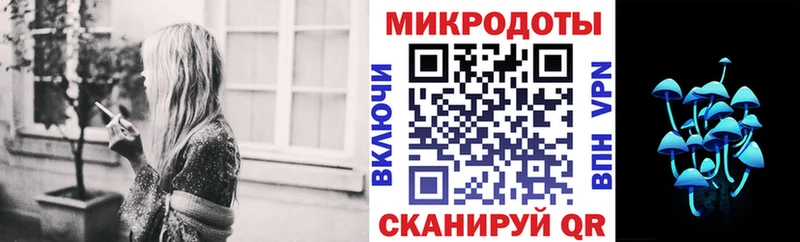 купить   Райчихинск  Галлюциногенные грибы Psilocybe 